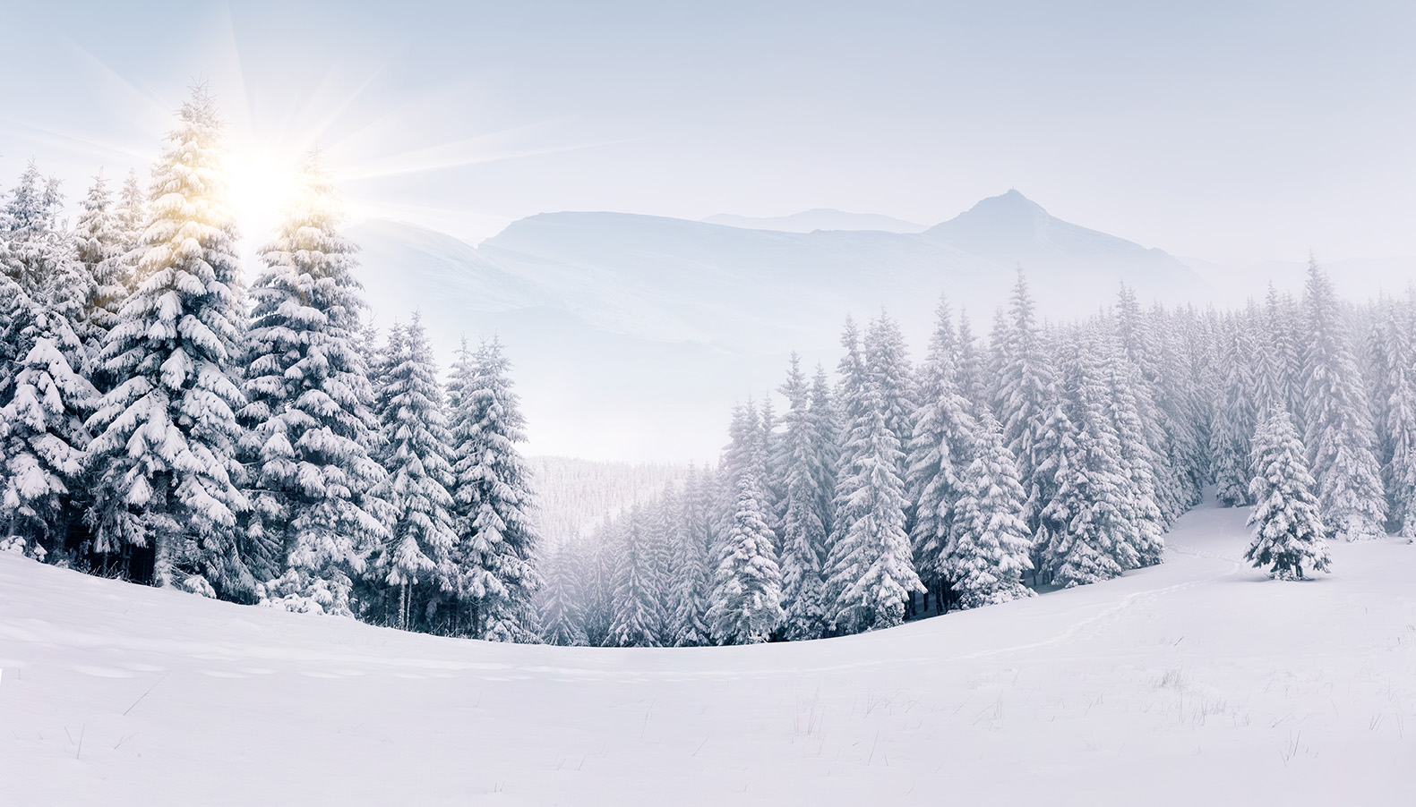 winter-landscape-snow-zima-6037