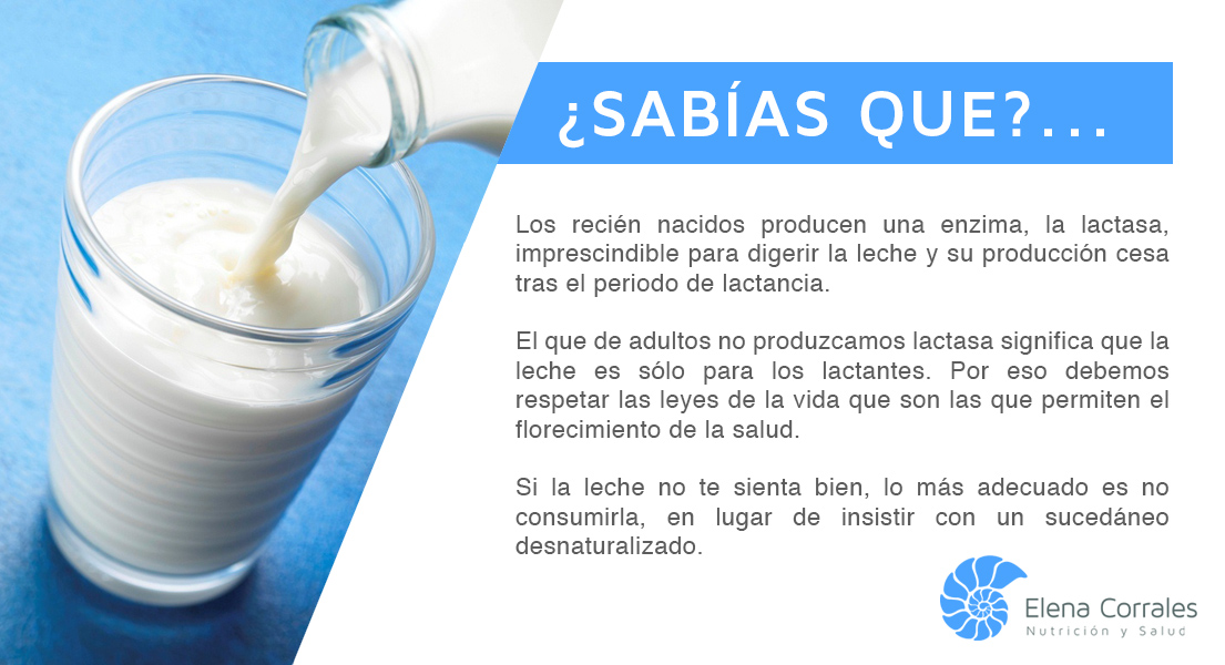 43. LA DIGESTIÓN DE LA LECHE
