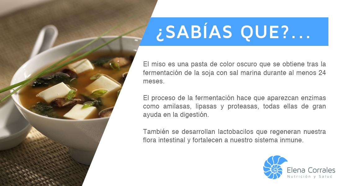 51. EL MISO MUCHO MÁS QUE UN ALIMENTO EXÓTICO